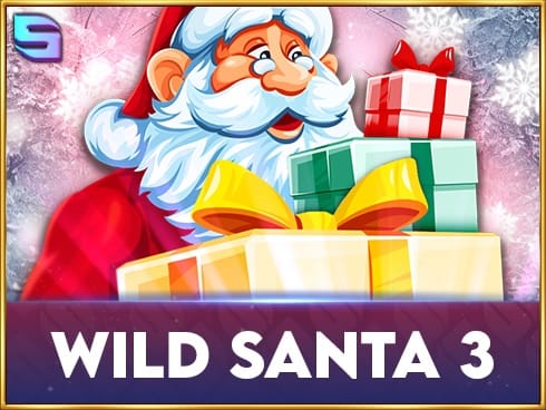 Wild Santa 3 game cover